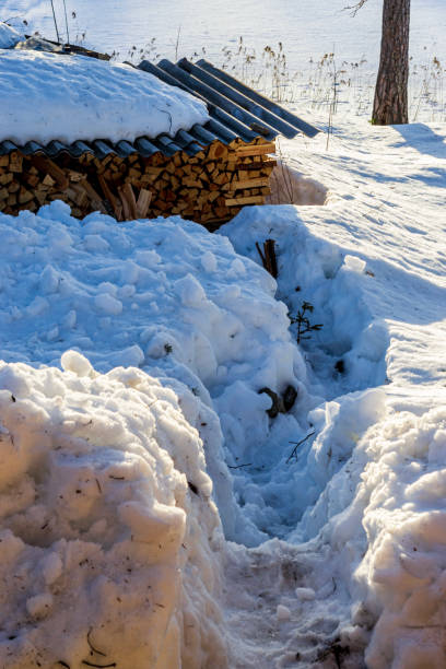 istock the path is trampled through a snowdrift to the stacked firewood 1209696402