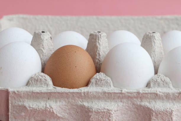 istock One brown egg in the middle of white eggs 1209697516