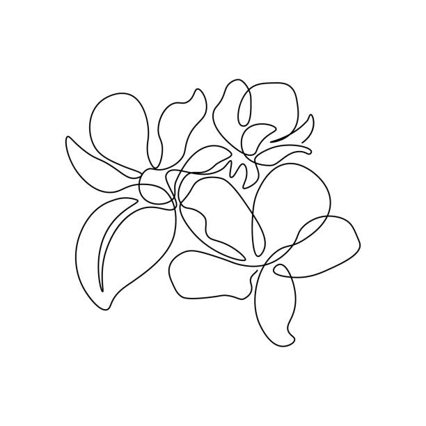 Apple tree blossom Spring apple tree blossom in continuous line art drawing style. Group of flowers with leaf black linear sketch isolated on white background. Vector illustration apple blossom stock illustrations