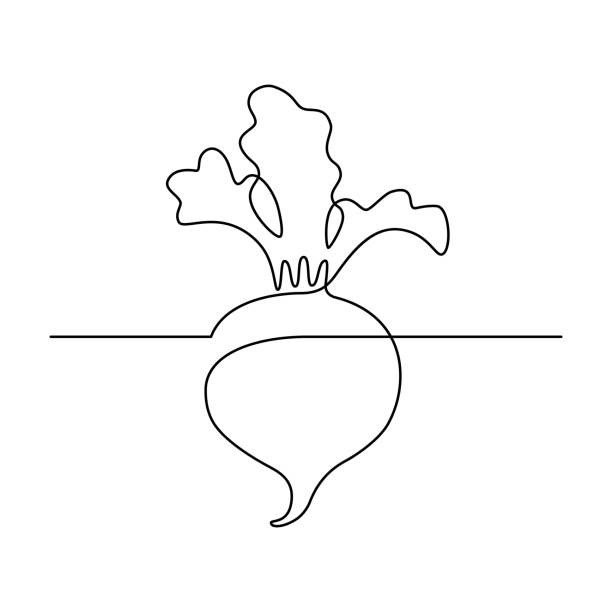 завод свеклы - vegetable beet doodle food stock illustrations