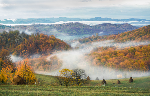 Layered misty landscape in late autumn