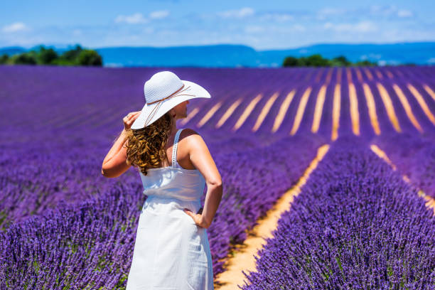 istock Provence, France. 1209706335
