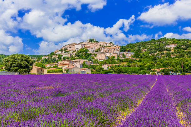 istock Provence, France. 1209706338