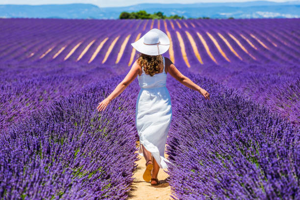 istock Provence, France. 1209706347