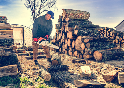 An unrecognizable active senior retired man cuts firewood with a chainsaw