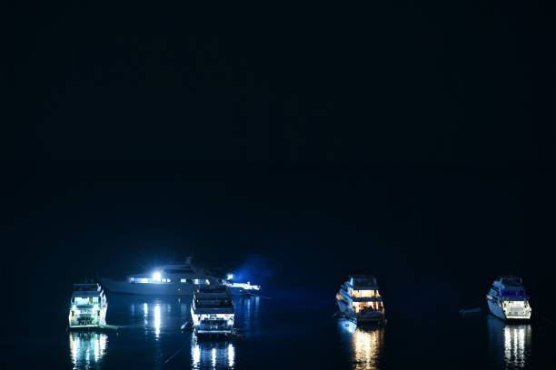 Diver yachts at sea at night.