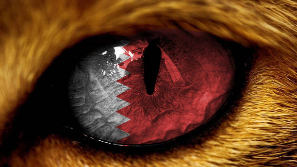 istock Qatar royal  flag on lion eye with masking 1209711653