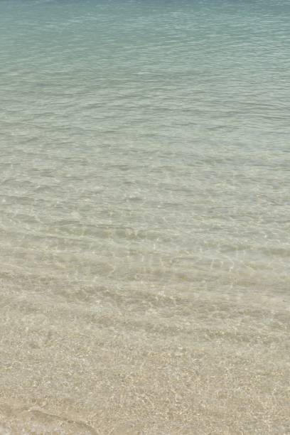 istock Waves at Mont Choisy Beach, Mauritius, Indian Ocean, Africa 1209712519