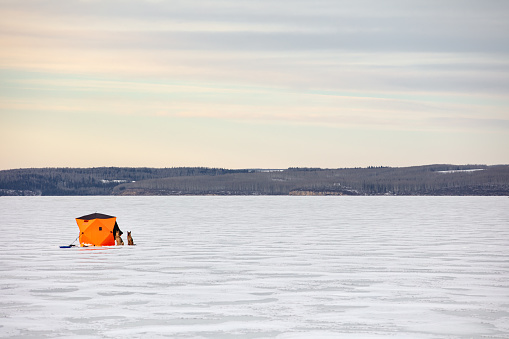 Ice fishing tent on lake with two german shepherd dogs watching out front