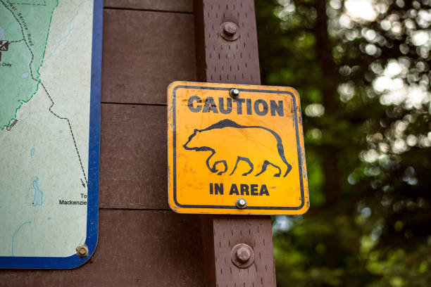 istock caution bear in area sign 1209713169