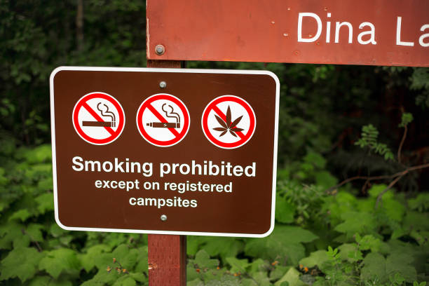 No smoking no vaping logos and crossed out on gate in front a of building