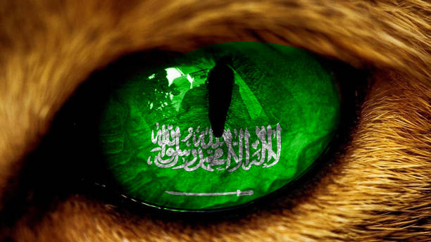 istock Saudi Arabia royal  flag on lion eye with masking 1209713972