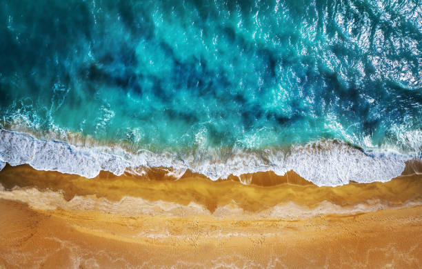 istock Top view aerial photo from flying drone. Beautiful beach! 1209714316