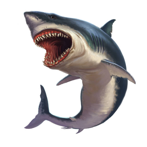 Great white shark on a white background Great white shark on a white background jumping. Attack of a large shark in a jump out of the water. great white shark stock illustrations