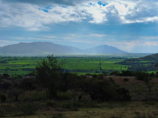istock cultivated fields in the valley of zapotiltic 1209714946