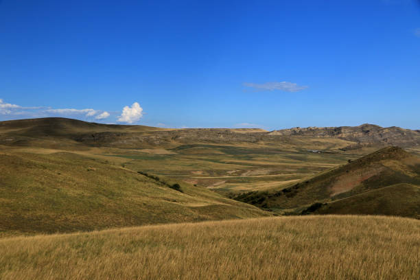 istock Landscape of Kakheti 1209715321