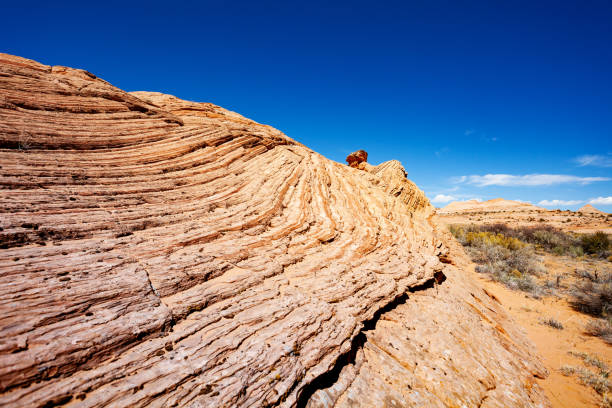 istock Wavy rock formations in the Zebra spot Canyon Utah 1209719208