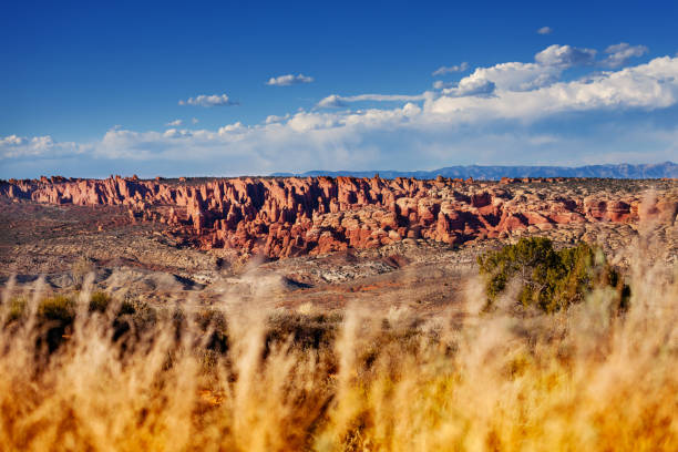 istock Colorado river canyon panorama in Utah, USA 1209719214