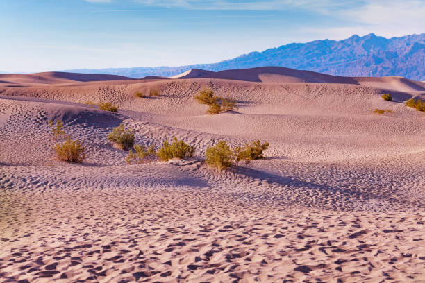 istock Sands and dunes in the Utah desert national park 1209719231