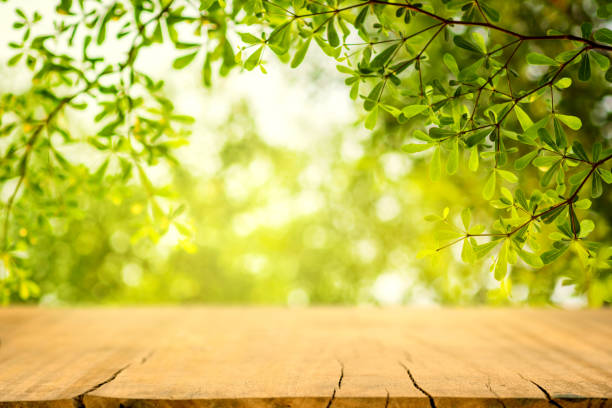 istock Wooden table and blurred spring background. Spring concept with green nature outdoor. 1209719297