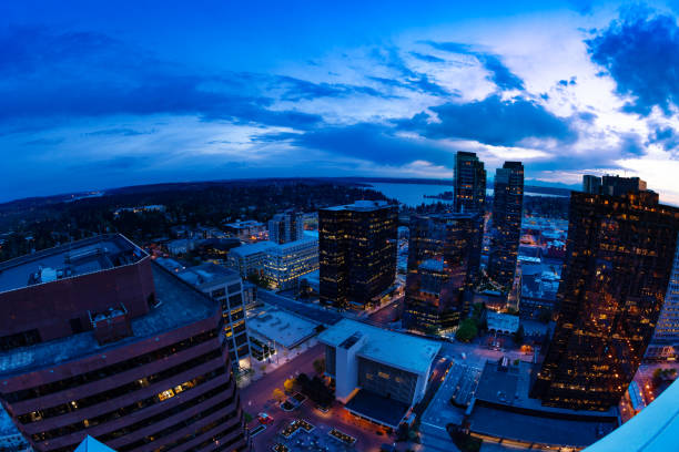 Evening panorama of Bellevue downtown from above