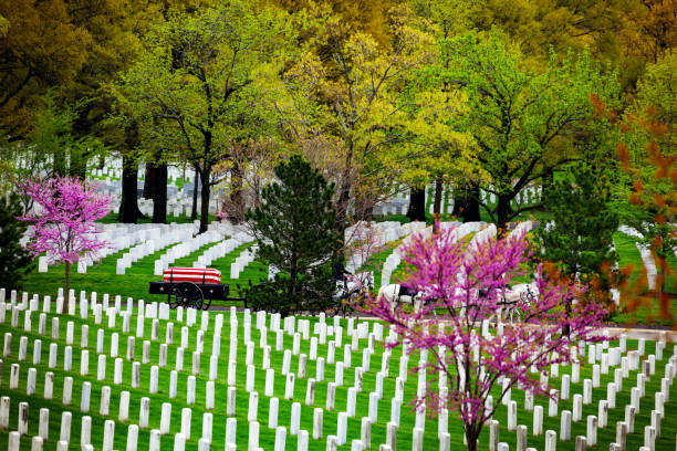 US military cemetery and burial procession on back US military cemetery and burial procession on background at spring in Arlington, USA arlington cemetery in spring stock pictures, royalty-free photos & images