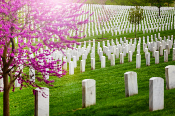 istock Arlington cemetery tombs in rows, graves at spring 1209722734
