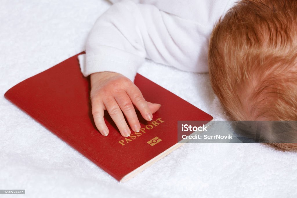 Travel passport in a hand of little newborn infant Travel passport document under the hand of little infant newborn baby boy Baby - Human Age Stock Photo