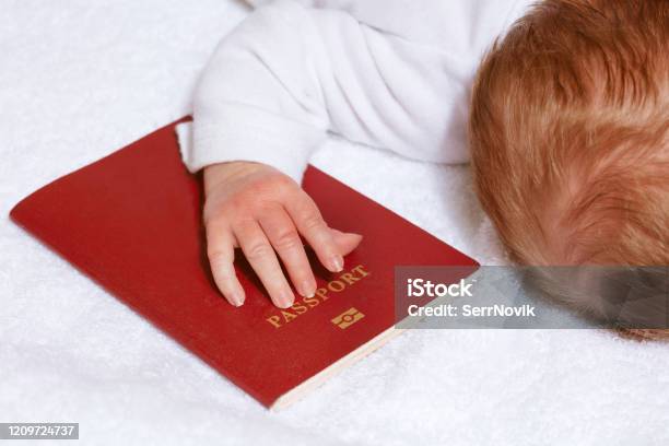 Travel Passport In A Hand Of Little Newborn Infant Stock Photo - Download Image Now - Baby - Human Age, Passport, Travel
