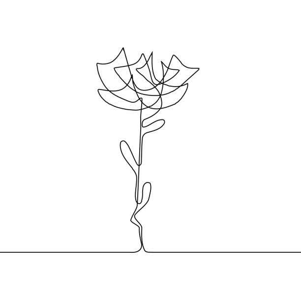 Continuous Flower Vector Illustration One Line Art Flowering Blossom Stock  Illustration - Download Image Now - iStock
