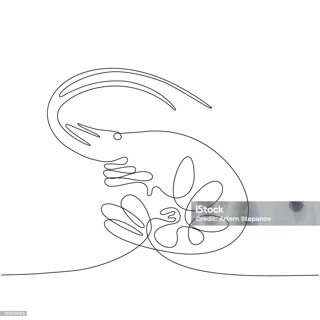 Prawn Line Drawing Continuous Shrimp Vector Illustration One Line Prawn Drawing Stock ...