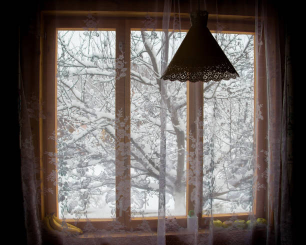 istock A snow-covered tree in a room window 1209725118