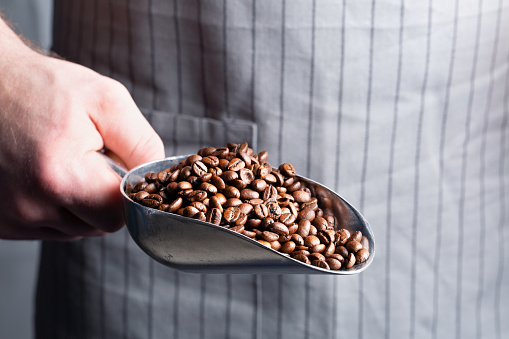 A man holds a metal scoop of coffee beans in his hand.