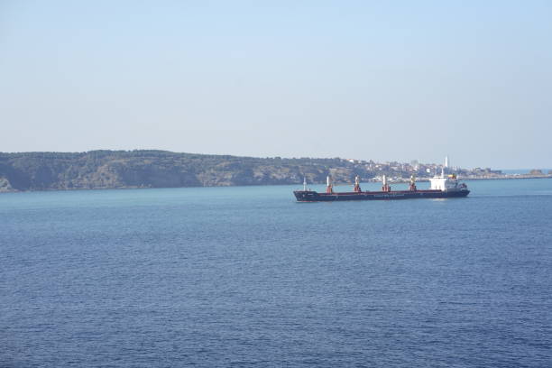 istock Commercial ship crossing the Bosphorus in Istanbul 1209725382