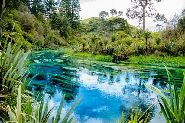 istock Blue Springs, New Zealand 1209725729