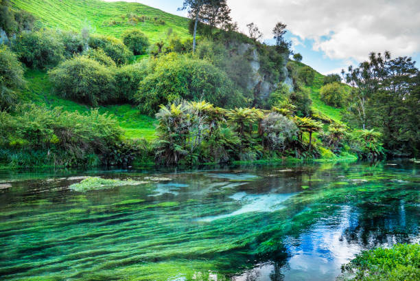 istock Blue Springs, New Zealand 1209725734