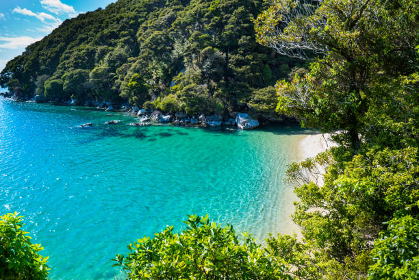 Abel Tasman Park, New Zealand