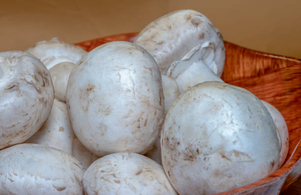 istock White mushrooms chompignons in a wooden bowl 1209725807