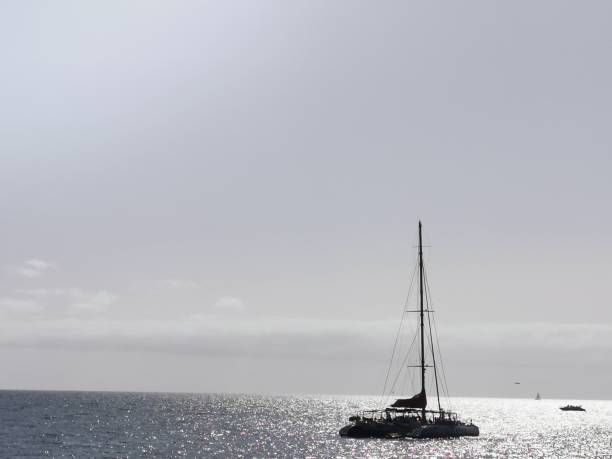 istock segelschifff in suden gran Canaria 1209726969