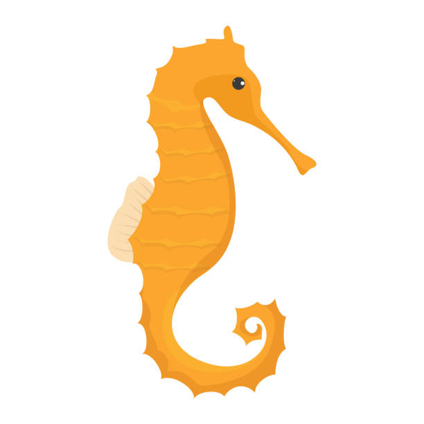 Yellow seahorse vector isolated. Underwater wildlife Yellow seahorse vector isolated. Underwater wildlife. Orange aquatic creature, cute exotic animal. seahorse stock illustrations