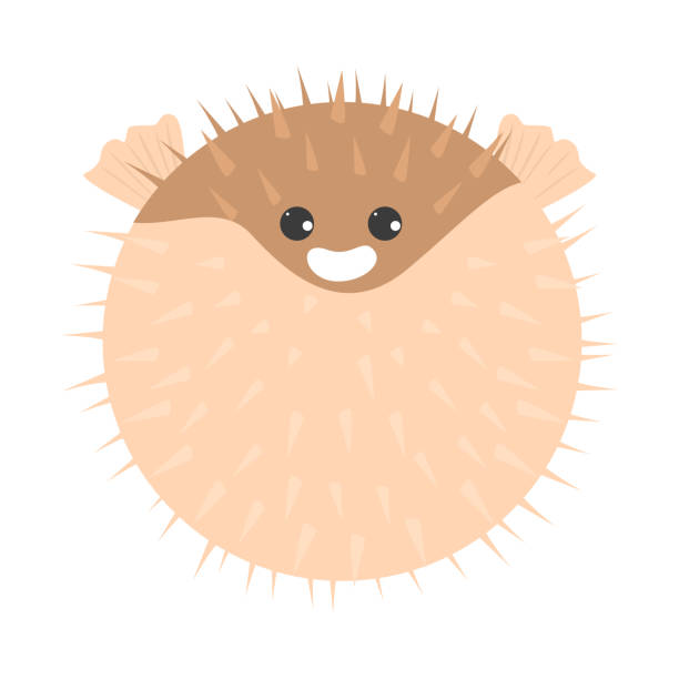 ilustrações de stock, clip art, desenhos animados e ícones de funny and cute porcupinefish smiling vector - porcupinefish