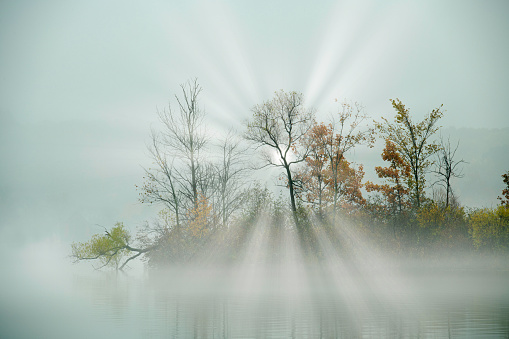 Autumn shoreline in fog with sunbeams, Gun Lake, Yankee Springs State Park, Michigan, USA