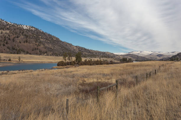 istock Overgrown grass field with trees and mountain range on cloudy day 1209731444