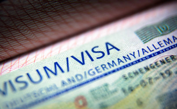 istock Visa stamp in passport close-up. German visitor visa at border control. Document for multiple entry. Macro view of Schengen visa for tourism and travel in EU. 1209731619