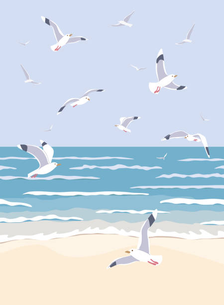 Nature Background with Sea, Waves, Beach and Flying Seagulls. Simple natural background with sea coast scenery. Serenity landscape with blue water, small waves and flying seagulls in clear sky vector flat illustration. sand clipart stock illustrations