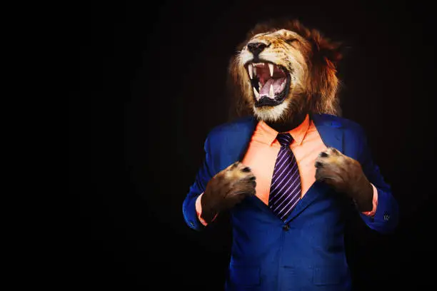 Photo of Furious angry businessman with face of lion roar