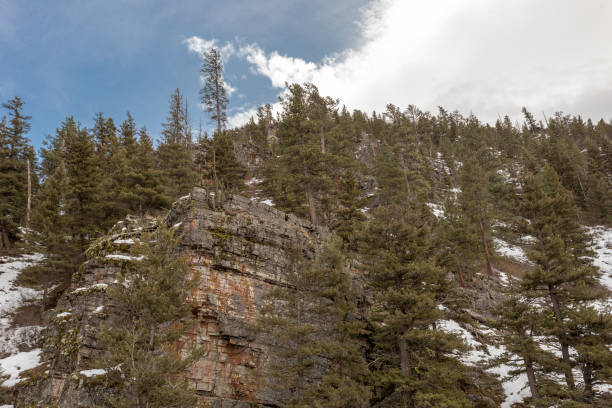 istock Looking up at a jutting cliff face with red rocks and trees with snow on cloudy day 1209733704