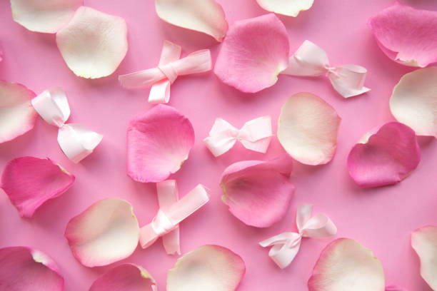 istock pink and white rose petals on pink background. 1209734138