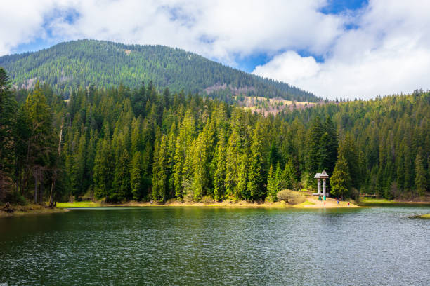 istock alpine mountain lake among the forest 1209734173