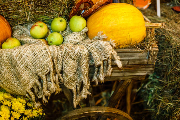 istock pumpkins lie on the hay in autumn 1209735584